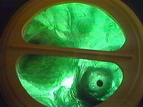 Doctor Who Classic - 12x06 - Arca spaziale - 2^ Parte ITA