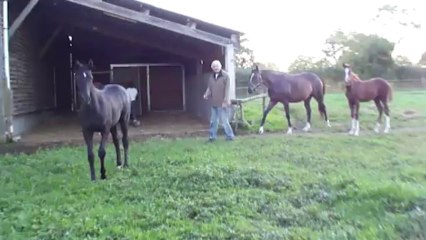 démon de midi 5 mois