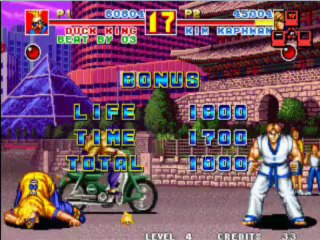 Fatal Fury Special Matches 18-29