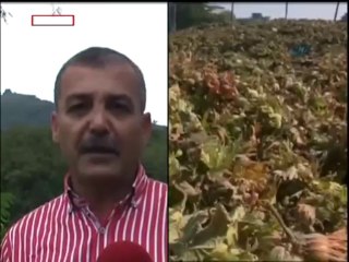 FINDIK SEZONU BİTTİ