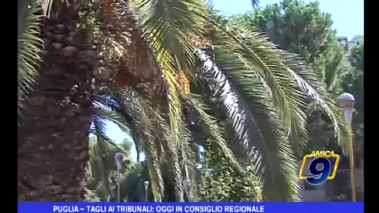 Puglia | Tagli ai Tribunali oggi in Consiglio Regionale