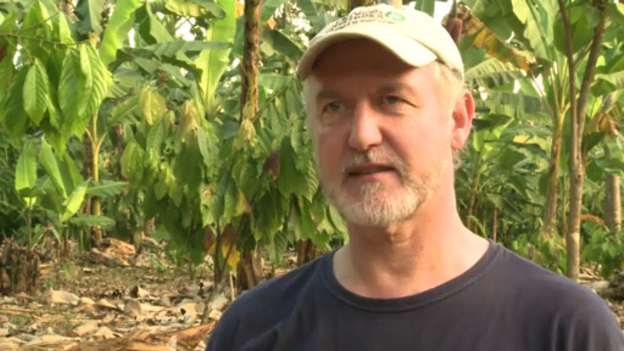 Brasiliens Viehzucht soll grüner werden