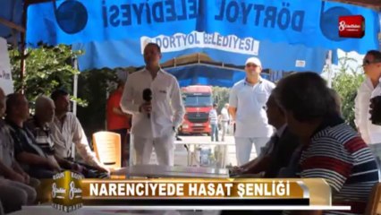 Dörtyol narenciyede hasat şenliği 8.gün haber