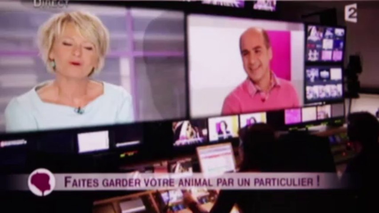 France 2 : Garde de chien, garde de chat ou NAC : du nouveau avec l'échange et Animal Futé, reportage dans "C'est au programme"