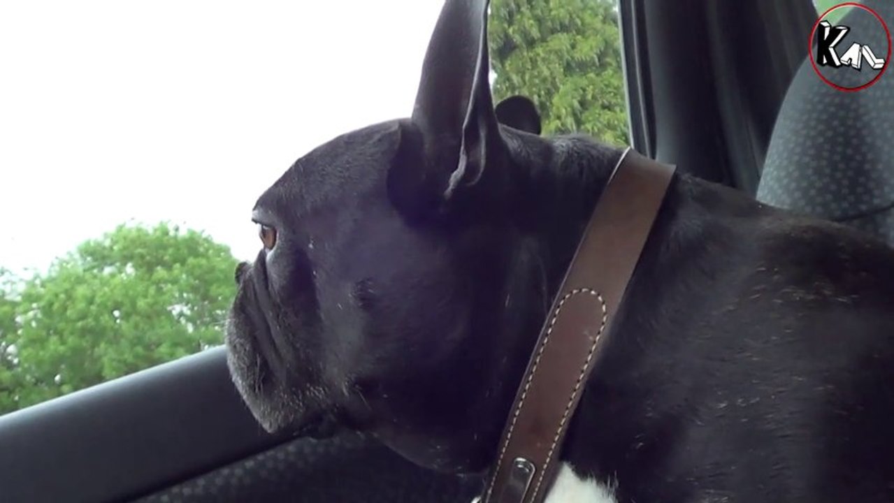 [Broc TV #01] Mes premiers pas en brocante