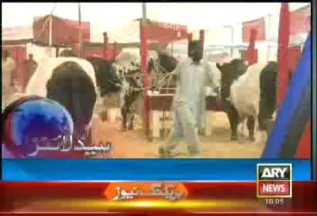 Headlines - 1600 - Wednesday - 25 - Sept - 2013