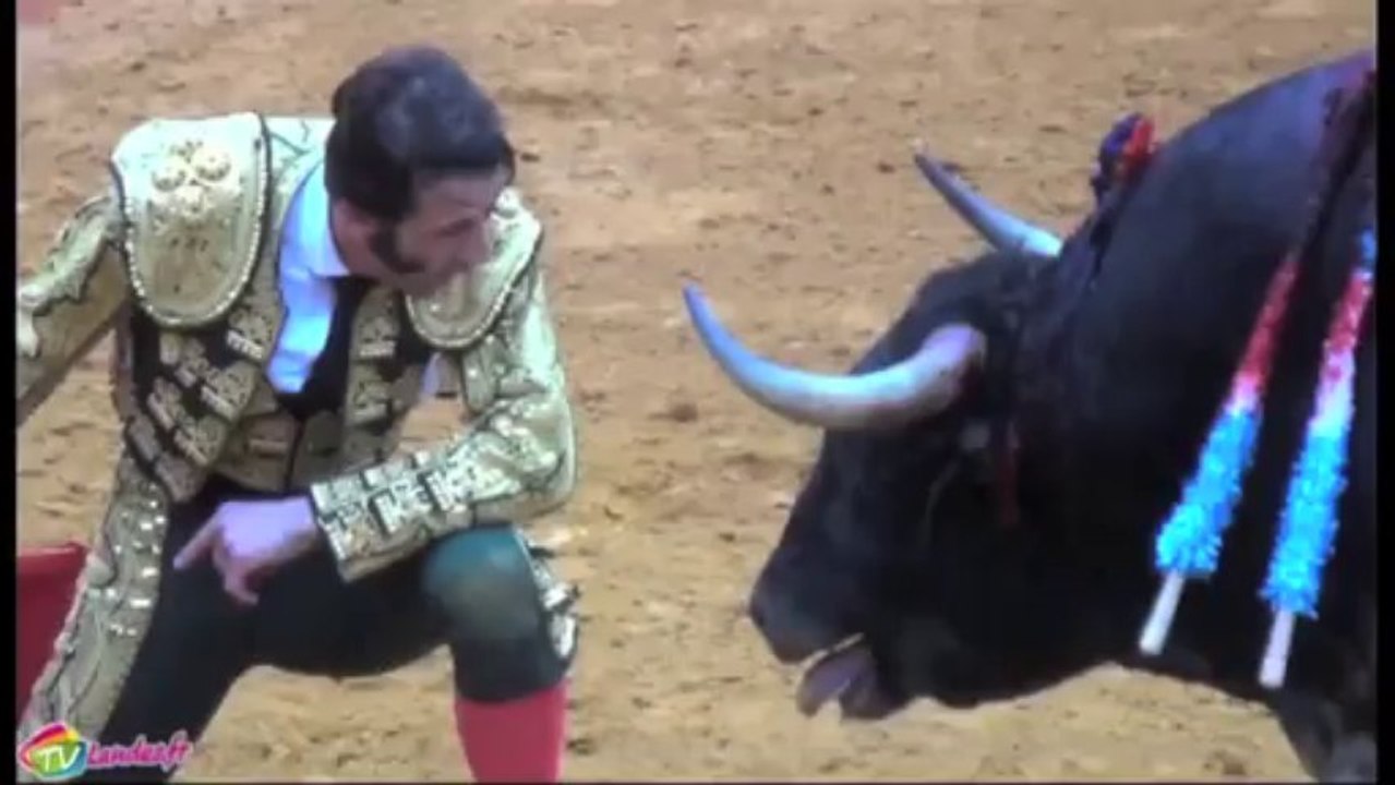 Corrida du Samedi à Dax