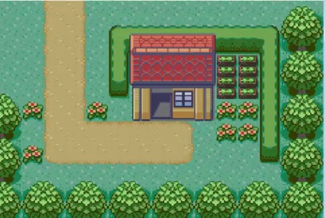 Hack Pokémon version émeraude pal [2 ] les bases d'un dresseur