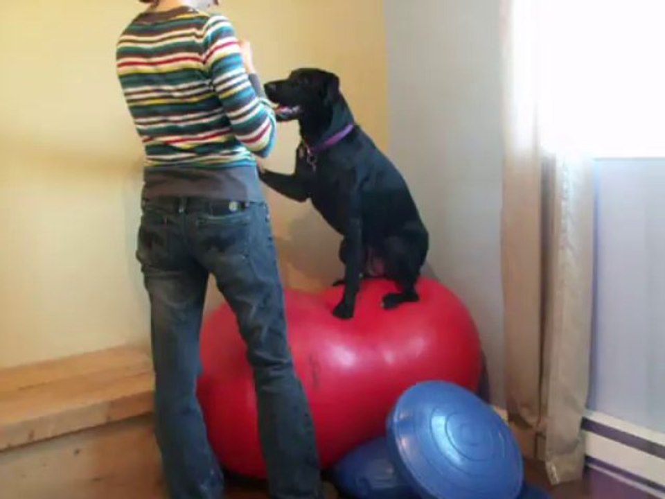 24-09-2013 -VID1
