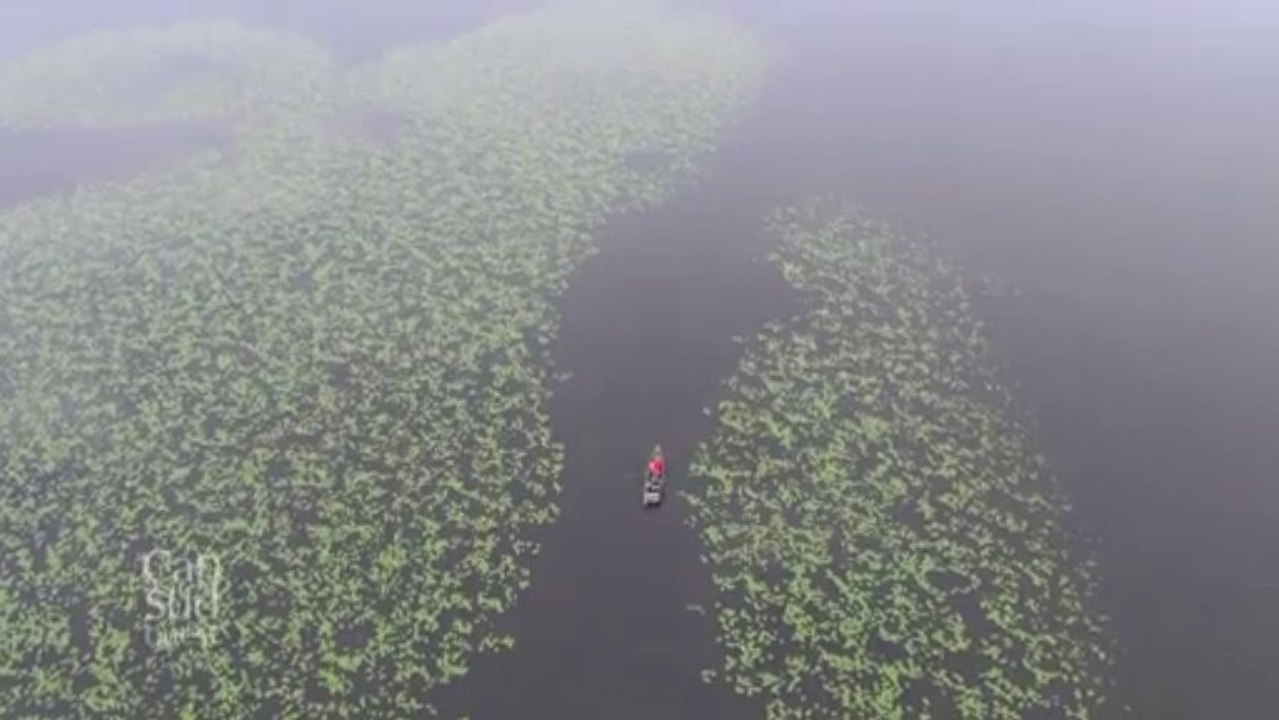 Cap Sud Ouest - "Les Landes, la Côte d'Argent"