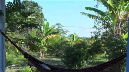 Linda Fazenda À Venda Trancoso