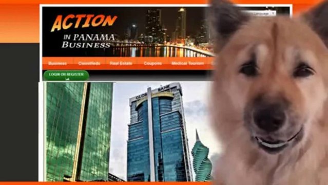 Online Business Licensing system In Panama PanamaOnline Business Licensing system