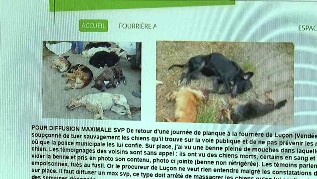Luçon: le responsable de la fourrière réagit