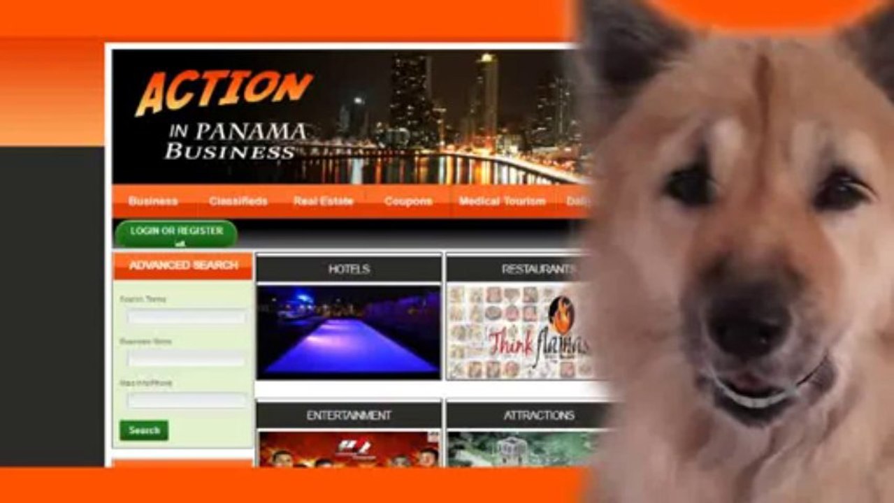 Online Business Directories in PTYOnline Business Directories