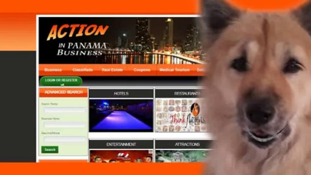 Online Business Directories in PTYOnline Business Directories