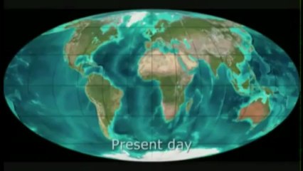 atividade interdisciplinar fisica coc santos 2013 bisquolo