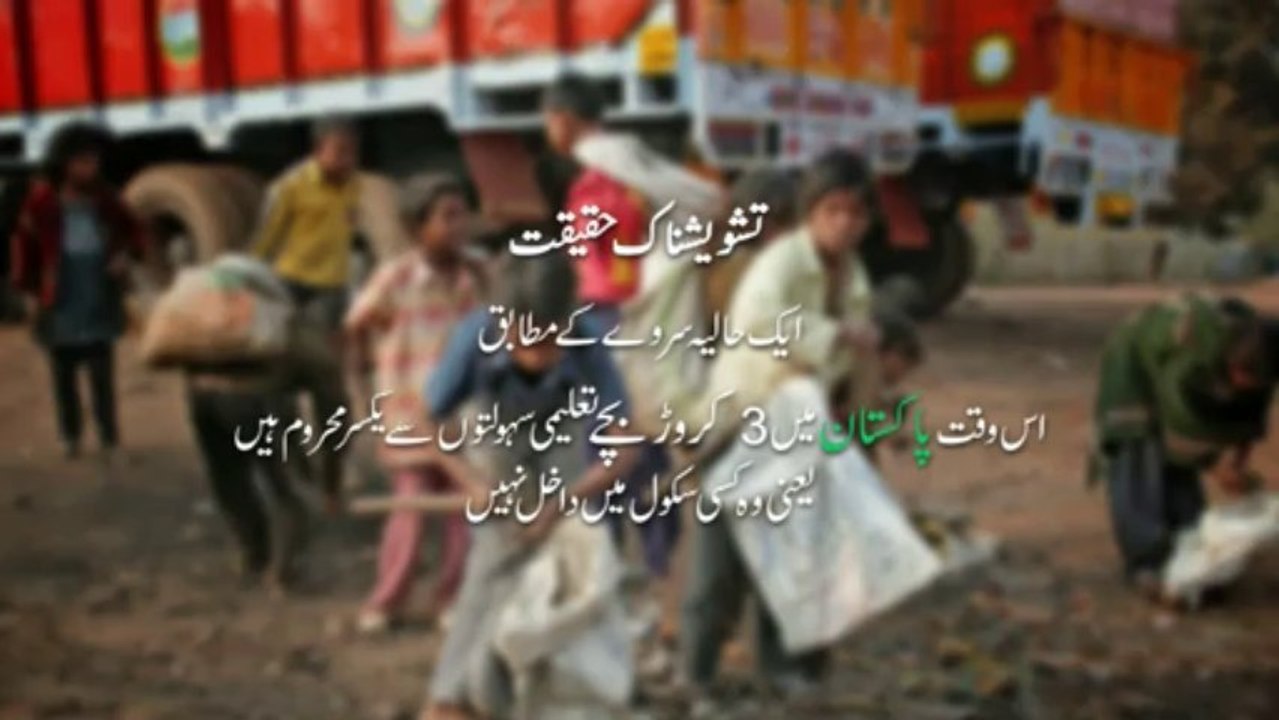 Taleem Network Pakistan Presentation