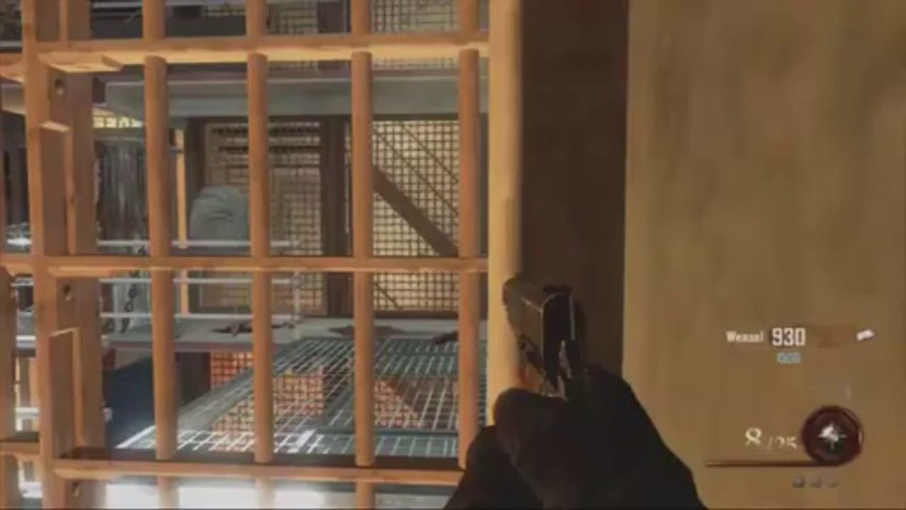 COD BO2  Zombie Hack / Gold Guns Everything Unlocked USB Install PS3/XBOX360/PC