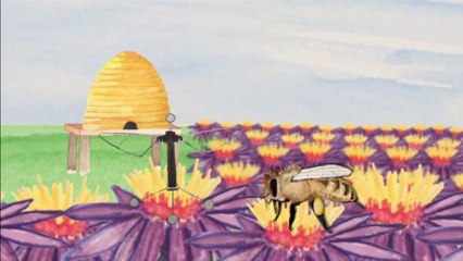 Les drones pour sauver les abeilles et l'humanité ?