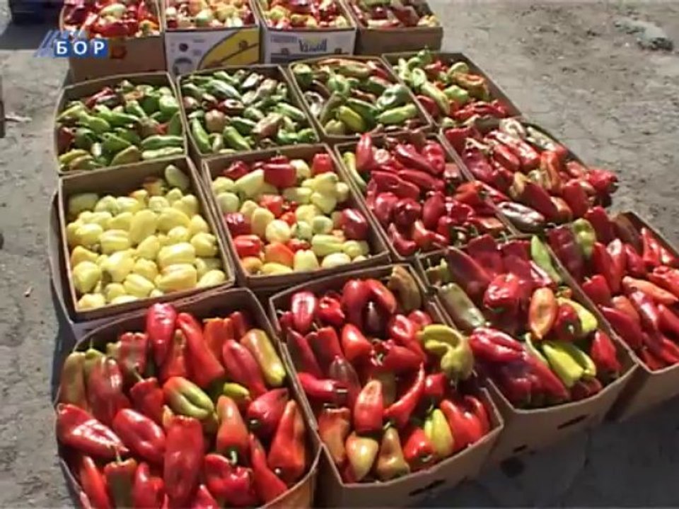 Dobra ponuda voća i povrća na Zelenoj pijaci u Boru, 25. septembar 2013.