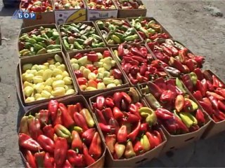 Dobra ponuda voća i povrća na Zelenoj pijaci u Boru, 25. septembar 2013.