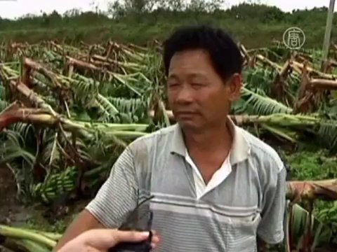 Ураган «Усаги» принёс большие разрушения в Китай