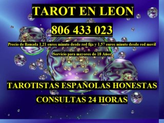 videncia y tarot en leon
