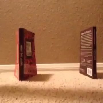 Clever cat parodies Miley Cyrus Wrecking Ball video