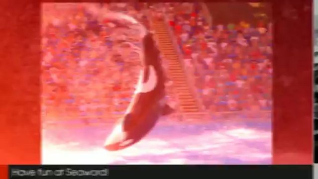 Anna Maria Island FL Apartment perfect for vacation-Rentals