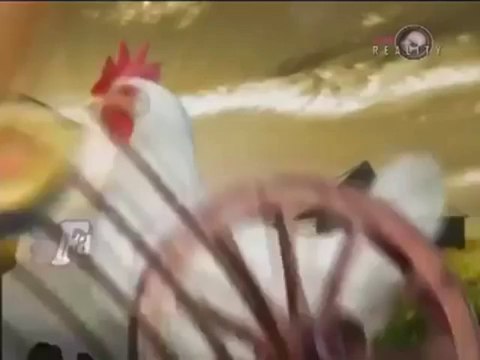 Farma 5 - Edin Skoric (Profil)