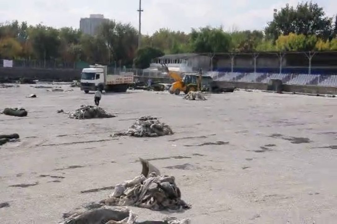 19 Mayıs dış saha Yenileniyor