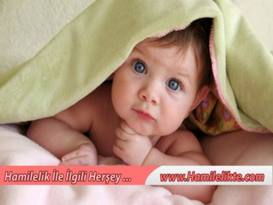Hafta Hafta Hamilelik