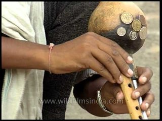 Snake charmer hypnotising the snake!