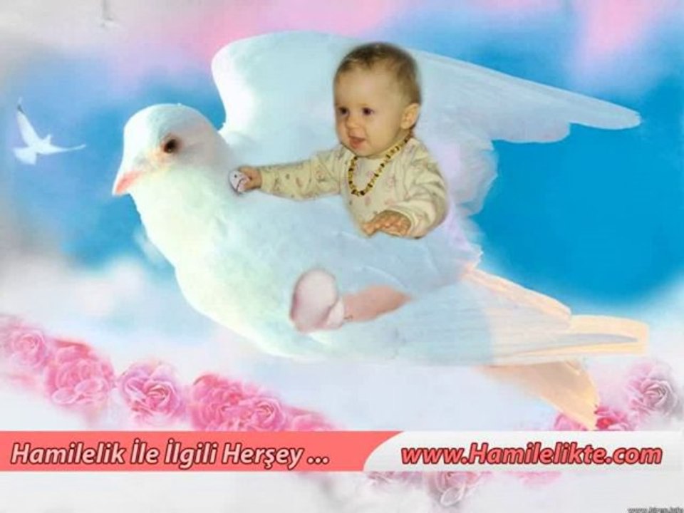 Uzmantv Hafta Hafta Hamilelik
