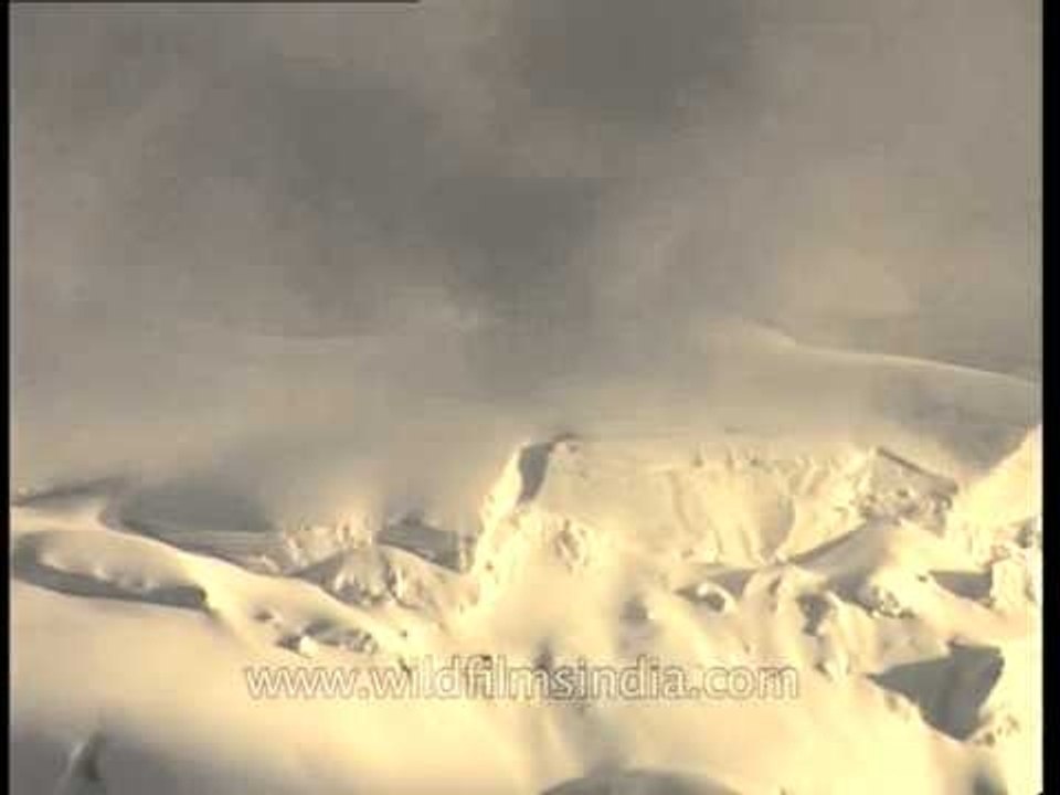 Gangotri peak snow-pack glistens in evening sun, from Rudragaira slopes