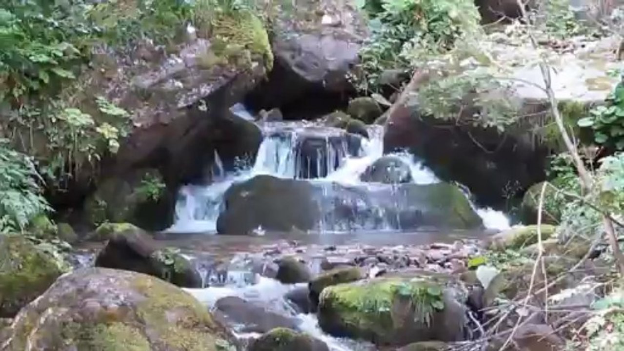 [MTB] Tovariste - Prokosko jezero (01.09.2013. god. ) HD