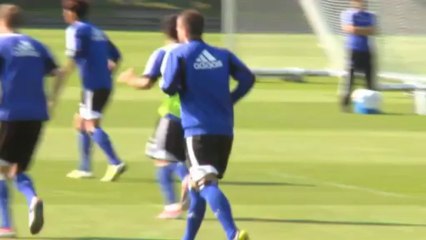 Van Marwijk to make his mark in Hamburg