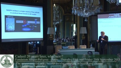 Costantino Iadecola - The neurovascular unit : neurovascular coupling in health and disease