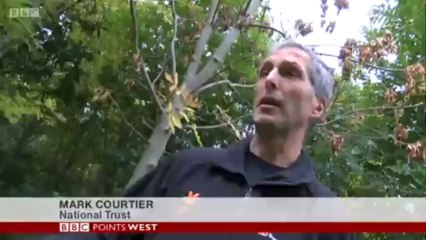 BBC Points West - 20/9/13