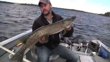 Un paradis pour pêcheurs : le Manitoba - Canada