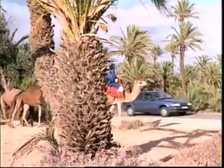 Pub Maroc_ La gamme Renault au Maroc années 90_