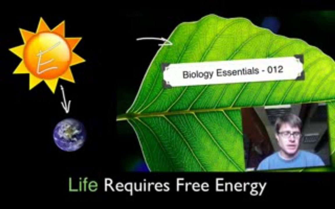 Life Requires Free Energy