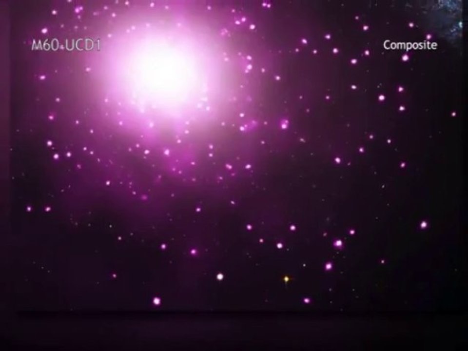 An Ultra-Compact Dwarf Galaxy