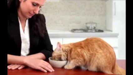 Pet Sitting Raleigh Call 919-205-0981