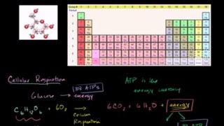 Introduction to Cellular Respiration