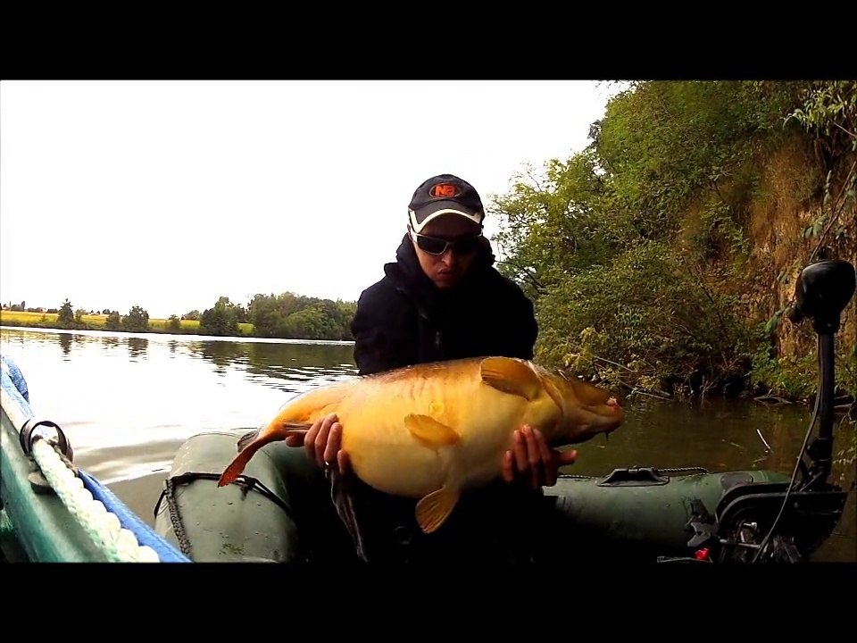 FIGHT FISHING (carpe en bateau)