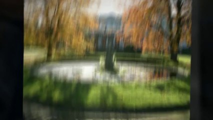 Finding an Online MBA Program