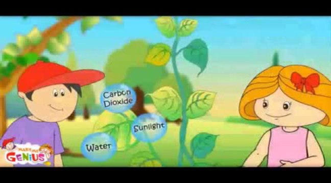 Photosynthesis in plants - Lesson Animation for Kids