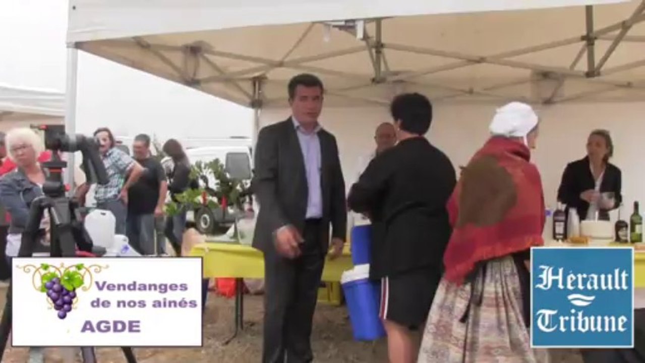 AGDE - 2013 - De belles vendanges traditionnelles pour les aînés agathois