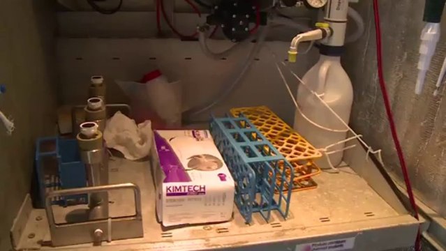 Le mot du chef scientifique, Lars Stemmann © V.Hilaire/francetv nouvelles écritures/Thalassa/Tara Expéditions